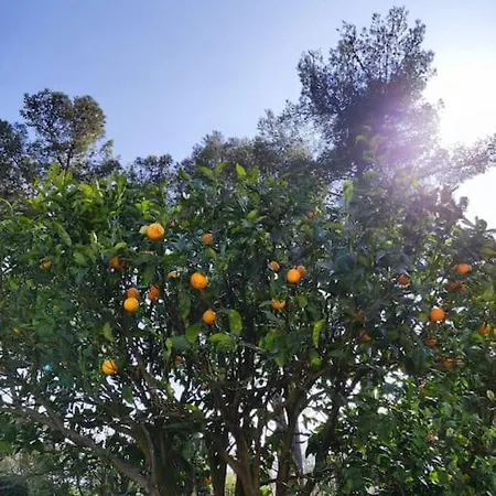Villa La Californienne