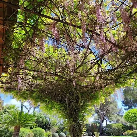 La Californienne Carqueiranne